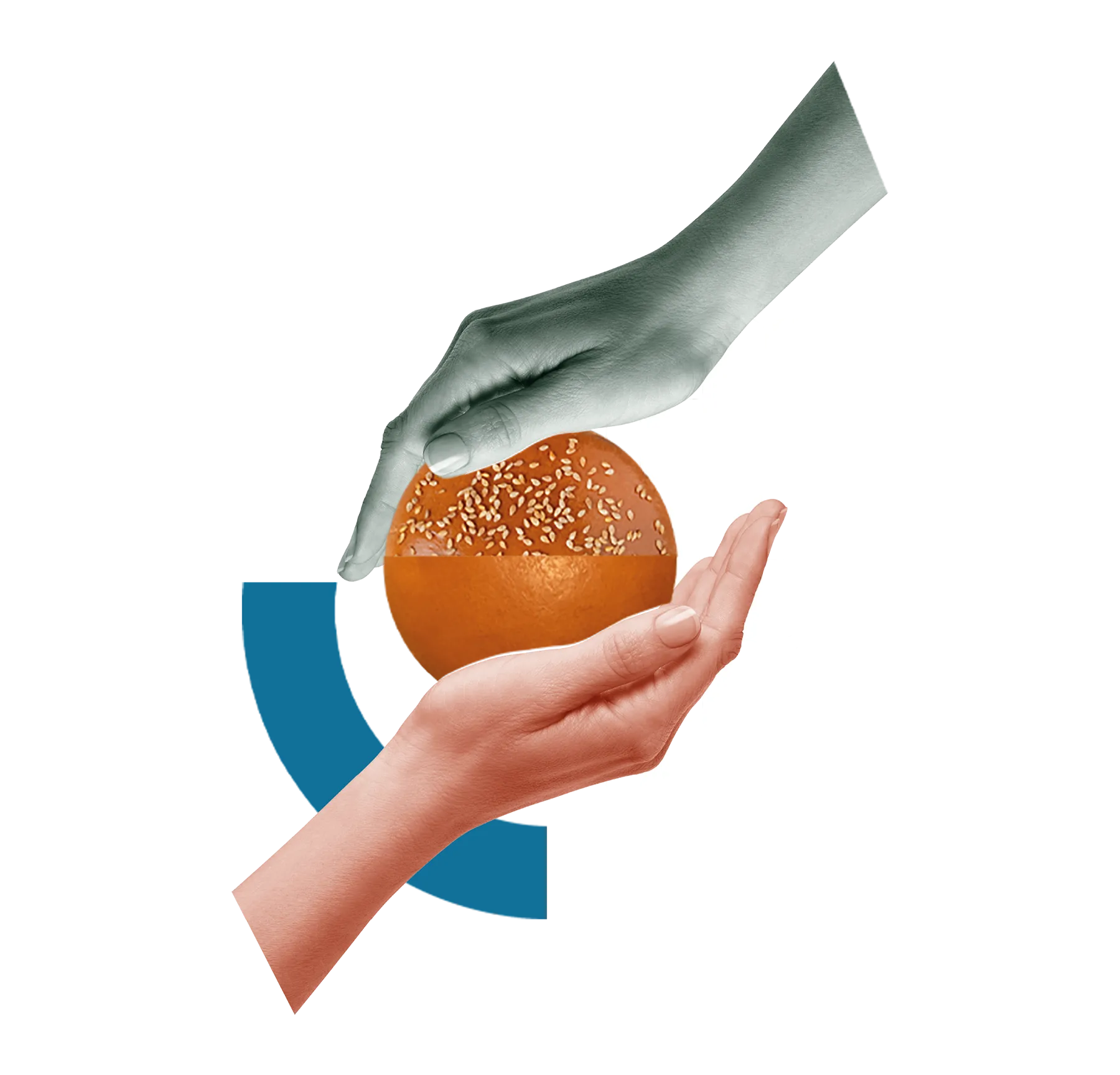 Due mani che si avvicinano a una palla arancione con semi, simbolo di collaborazione e condivisione