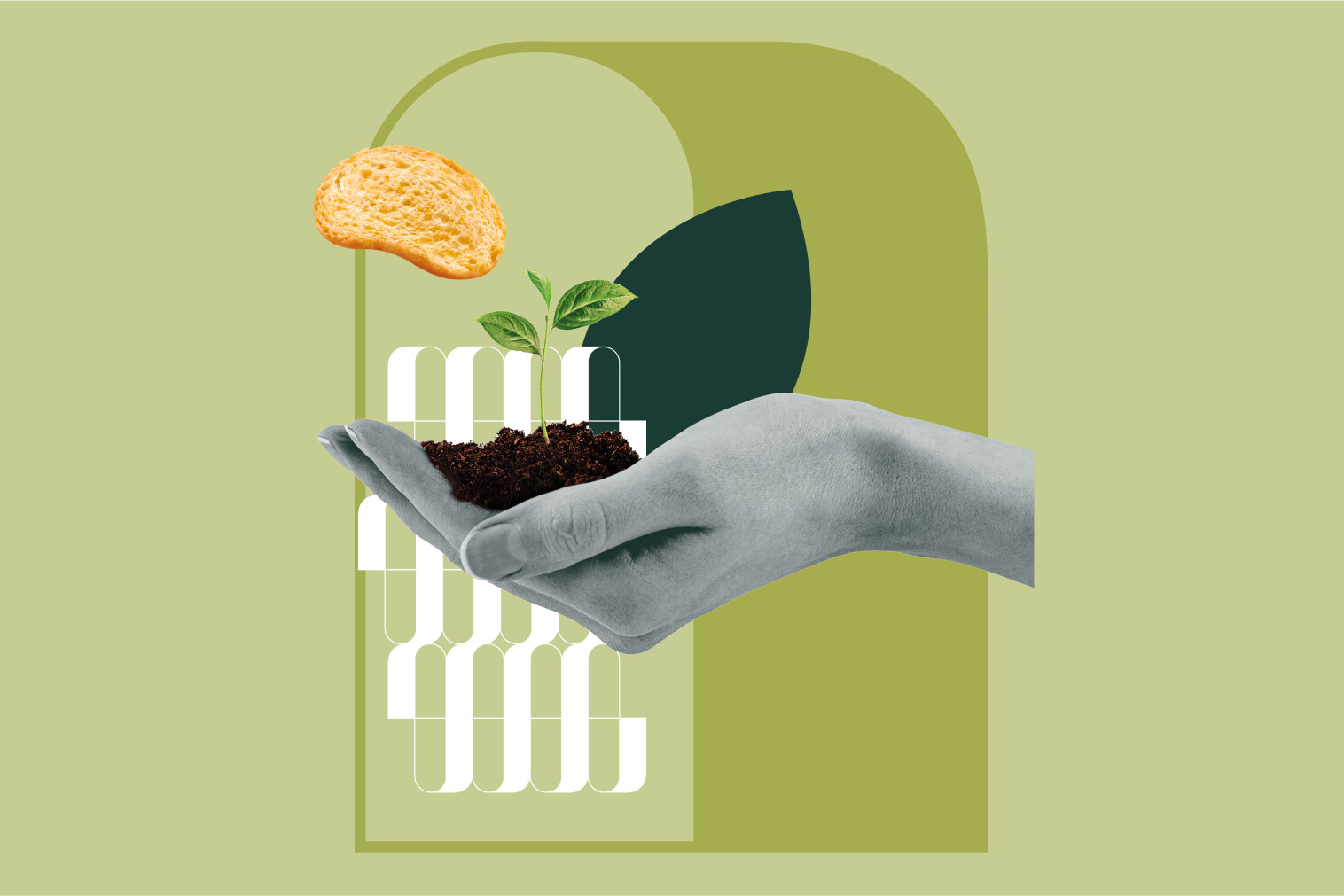 Una mano che tiene terra con una piantina e un biscotto in un design astratto