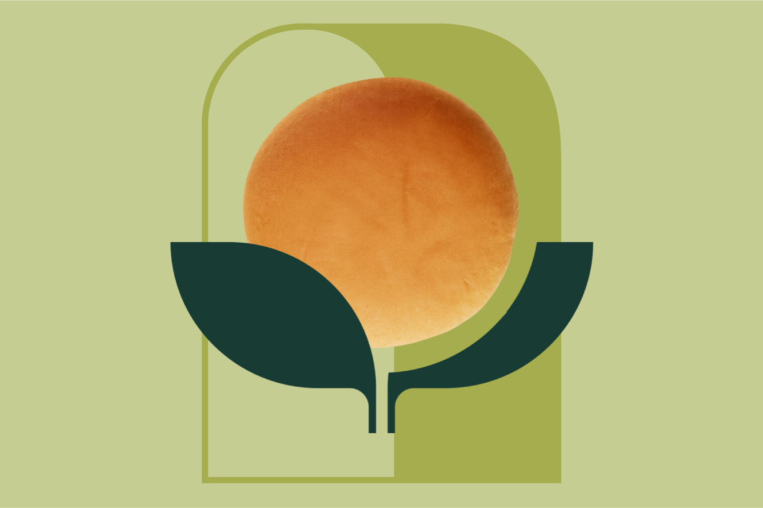 Logo di una pianta stilizzata con un cerchio arancione su sfondo verde chiaro